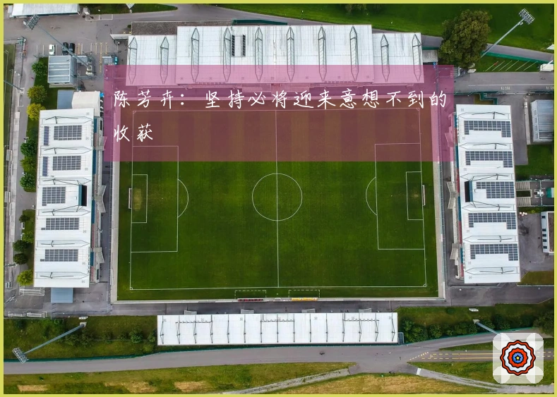 陈芳卉：坚持必将迎来意想不到的收获